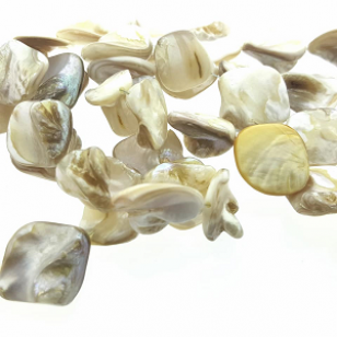 Schelp-Kralen-13-25mm-Wit/Beige