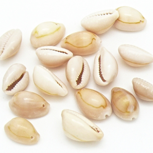 Kauri Schelp Naturel