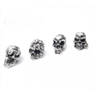 Kraal Rvs Skull #3