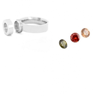 Ring-Stainless-steel-zilver-4stenen