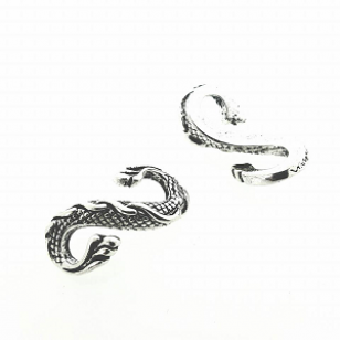 Sluiting-S-Slang-metaal