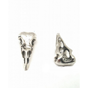 Kraal Vogel Skelet 35mm