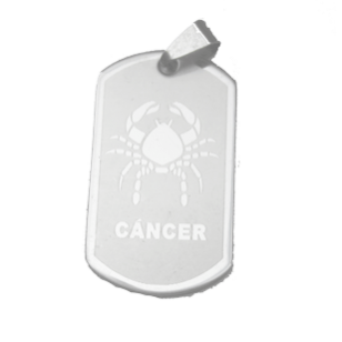 Ketting met Hanger Kreeft rvs