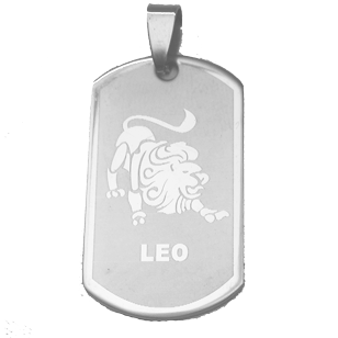 Ketting Stainless steel Leeuw