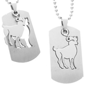 Ketting Rvs met Hanger Ram