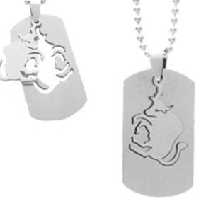 Ketting Hanger Stier RVS