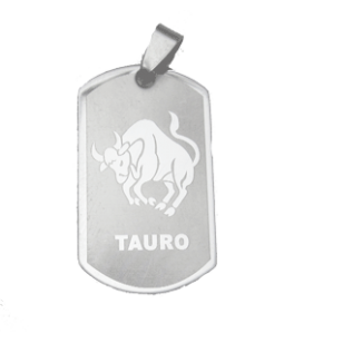 Ketting Hanger Stier #2