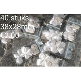 Roosjes Satijn UITVERKOOP